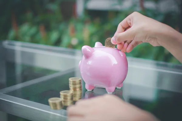 Детская рука положить деньги монеты на розовую свинью копилку и природу — стоковое фото