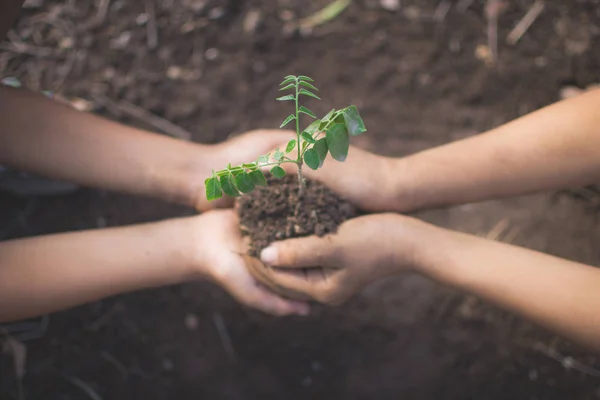 bokeh ve doğa ba ile bitki ve toprak tutan çocukların el