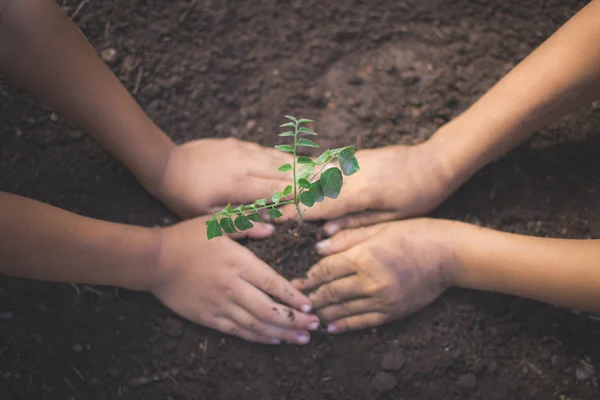 Mão de crianças segurando planta e solo com bokeh e natureza ba — Fotografia de Stock