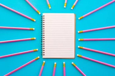 Not defteri ve ekipmanlar renk arkaplanı üzerine okula geri döndüler.