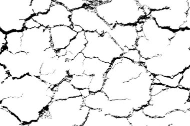 izole crecked dünya düzeni 