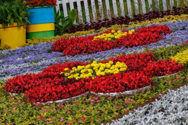 çiçekler yakın çekim dan güzel Heykel Sergisi