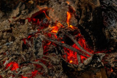 gece yakın yukarı yanan günlükleri doku alev