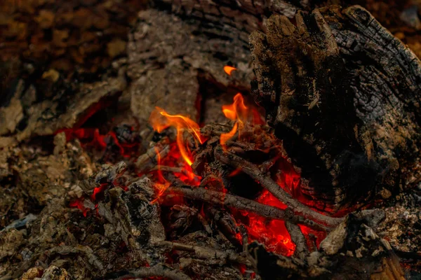 Texture Flame Burning Logs Night Close — Stock Photo, Image