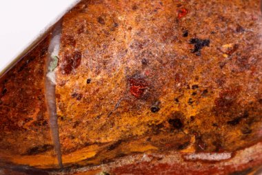 Beyaz bir arka plan üzerinde mineral taş jasper makro yakın çekim