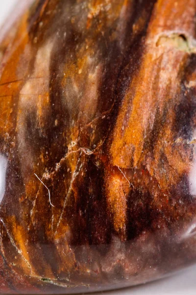 Beyaz bir arka plan üzerinde mineral taş jasper makro yakın çekim