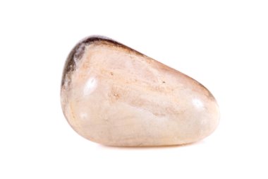 Beyaz bir arka plan üzerinde mineral taş jasper makro yakın çekim