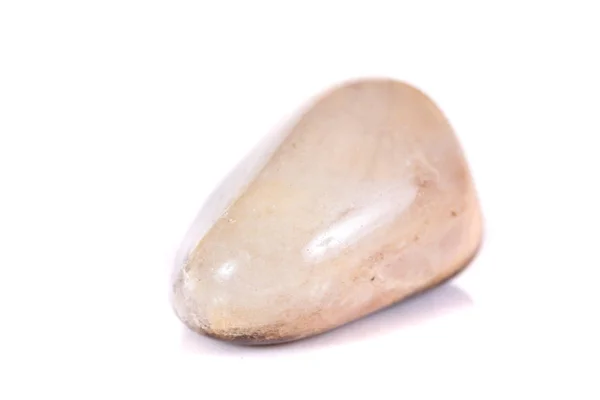 Macro Jasper Pedra Mineral Fundo Branco Fechar — Fotografia de Stock