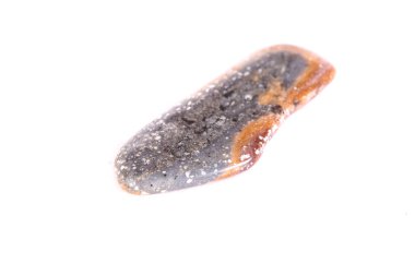 Beyaz bir arka plan üzerinde mineral taş jasper makro yakın çekim