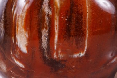 Makro mineral taş zemin taşlaşmış ağaç beyaz arka plan üzerinde Kapat