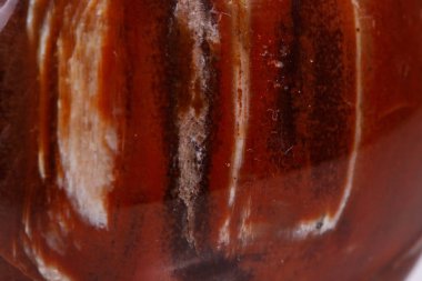 Makro mineral taş zemin taşlaşmış ağaç beyaz arka plan üzerinde Kapat