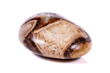 Beyaz arka plan yakın çekim Simbirzit ve Septaria makro mineral taş