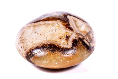 Beyaz arka plan yakın çekim Simbirzit ve Septaria makro mineral taş