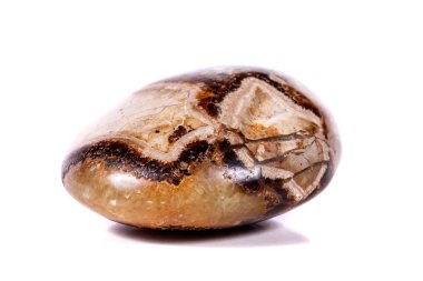 Beyaz arka plan yakın çekim Simbirzit ve Septaria makro mineral taş