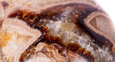 Beyaz arka plan yakın çekim Simbirzit ve Septaria makro mineral taş