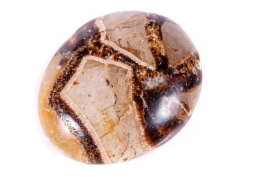 Beyaz arka plan yakın çekim Simbirzit ve Septaria makro mineral taş