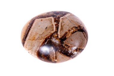 Beyaz arka plan yakın çekim Simbirzit ve Septaria makro mineral taş