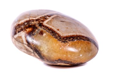 Beyaz arka plan yakın çekim Simbirzit ve Septaria makro mineral taş