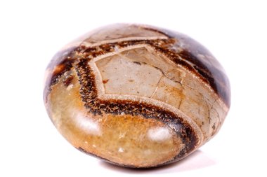 Beyaz arka plan yakın çekim Simbirzit ve Septaria makro mineral taş