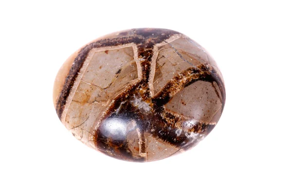 Beyaz Arka Plan Yakın Çekim Simbirzit Septaria Makro Mineral Taş — Stok fotoğraf