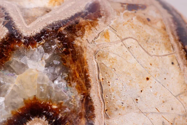 Макрос Мінеральні Камінь Simbirzit Septaria Білому Тлі Закри — стокове фото