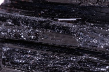 makro mineral taş sherle, schorl, beyaz arka plan yakın çekim üzerinde Siyah Turmalin