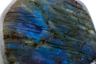 Makro mineral taş Labrador beyaz arka plan üzerinde kapat