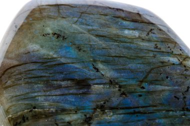 Makro mineral taş Labrador beyaz arka plan üzerinde kapat