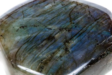 Makro mineral taş Labrador beyaz arka plan üzerinde kapat