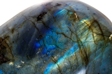 Makro mineral taş Labrador beyaz arka plan üzerinde kapat