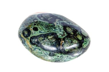 Makro mineral taş jasper kambaba beyaz bir arka plan üzerinde Kapat