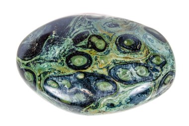 Makro mineral taş jasper kambaba beyaz bir arka plan üzerinde Kapat