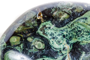 Makro mineral taş jasper kambaba beyaz bir arka plan üzerinde Kapat