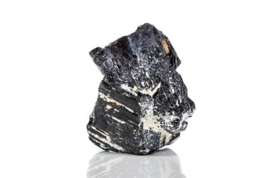 makro mineral taş sherle, schorl, beyaz arka plan yakın çekim üzerinde Siyah Turmalin