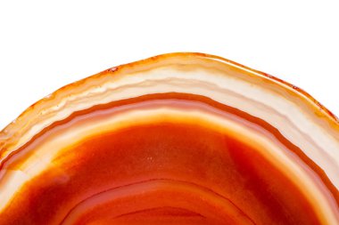 Beyaz arka plan üzerinde kristalleri içinde makro mineral turuncu akik yakın çekim