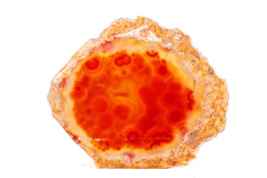 Beyaz arka plan üzerinde kristalleri içinde makro mineral turuncu akik yakın çekim