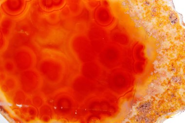 Beyaz arka plan üzerinde kristalleri içinde makro mineral turuncu akik yakın çekim