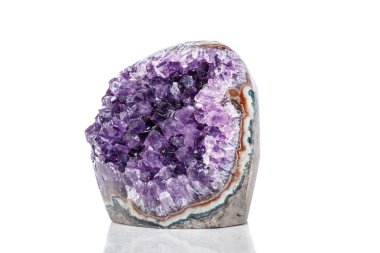 Ametist Crystal Druse makro mineral beyaz arka plan üzerinde Kapat