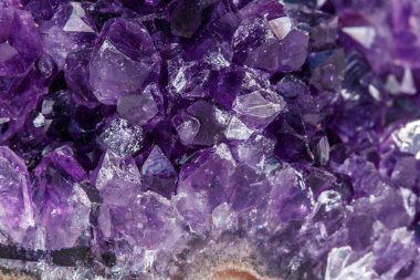 Ametist Crystal Druse makro mineral beyaz arka plan üzerinde Kapat