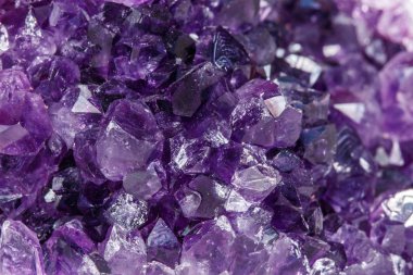 Ametist Crystal Druse makro mineral beyaz arka plan üzerinde Kapat
