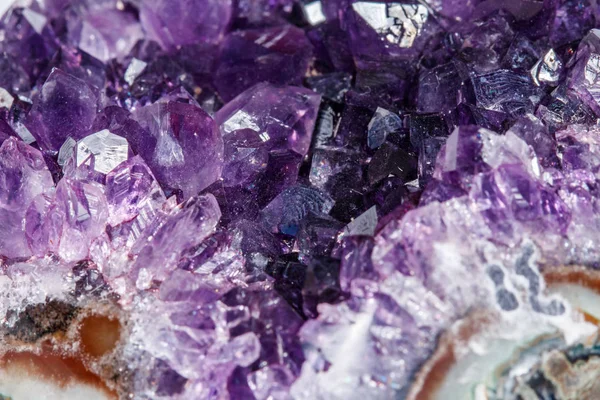 Amethyst Kristall Druse Makromineral Auf Weißem Hintergrund Nahaufnahme — Stockfoto