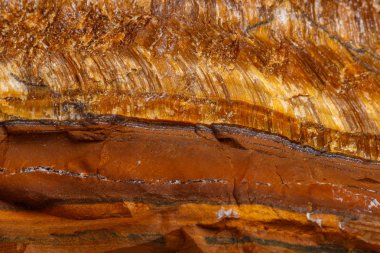 Makro mineral taş kaplan'ın gözünün içine belgili tanımlık doğurmak beyaz bir arka plan üzerinde Kapat