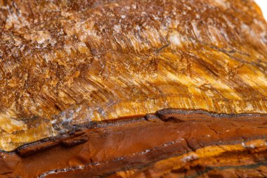 Makro mineral taş kaplan'ın gözünün içine belgili tanımlık doğurmak beyaz bir arka plan üzerinde Kapat