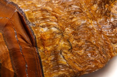 Makro mineral taş kaplan'ın gözünün içine belgili tanımlık doğurmak beyaz bir arka plan üzerinde Kapat