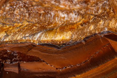 Makro mineral taş kaplan'ın gözünün içine belgili tanımlık doğurmak beyaz bir arka plan üzerinde Kapat