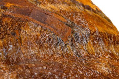 Makro mineral taş kaplan'ın gözünün içine belgili tanımlık doğurmak beyaz bir arka plan üzerinde Kapat