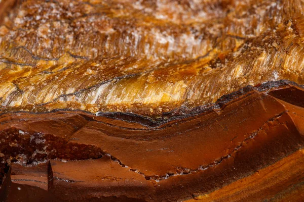 Makro mineral taş kaplan'ın gözünün içine belgili tanımlık doğurmak beyaz bir arka plan üzerinde Kapat