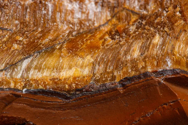 Makro mineral taş kaplan'ın gözünün içine belgili tanımlık doğurmak beyaz bir arka plan üzerinde Kapat