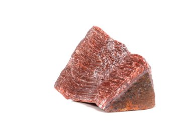Kaplan'ın gözünün içine belgili tanımlık doğurmak beyaz bir arka plan üzerinde makro mineral taş boğa göz, yakın çekim
