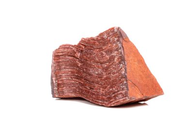 Kaplan'ın gözünün içine belgili tanımlık doğurmak beyaz bir arka plan üzerinde makro mineral taş boğa göz, yakın çekim